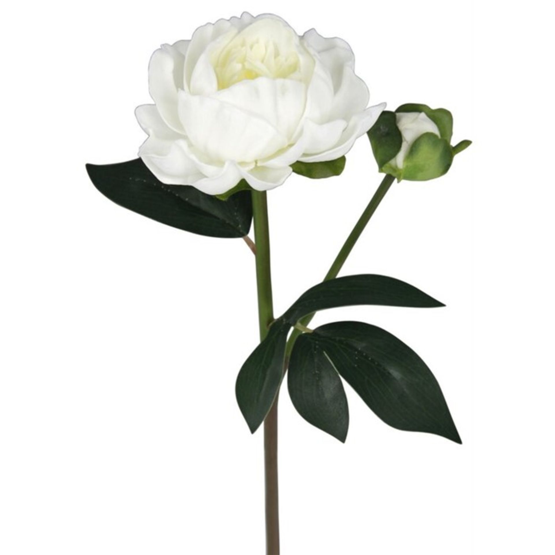 Castleton Home,Real Touch Single Peony Rose Stem -