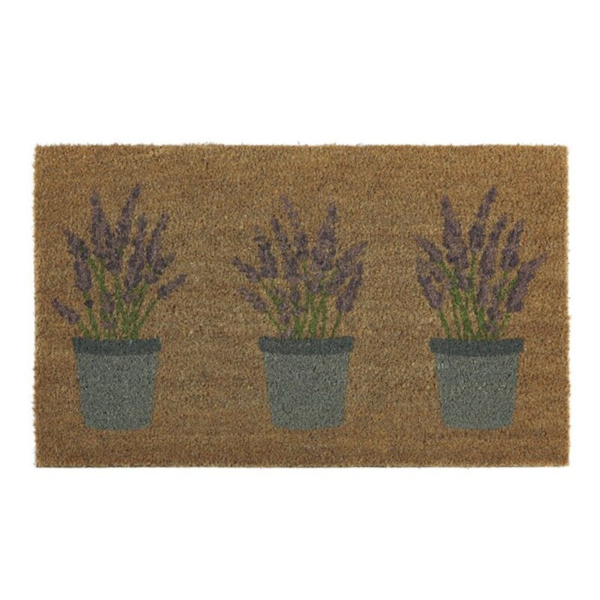 Longweave,Montrose Doormat (NATURAL) RRP £10.99 (PBWC1006 - 17512/44) 2D