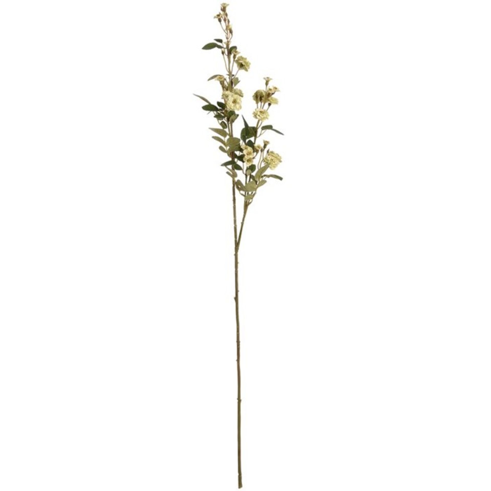 The Seasonal Aisle, Wild Meadow Rose Stem - RRP £18.99 (WLDK2638 - 16101/37) 1E