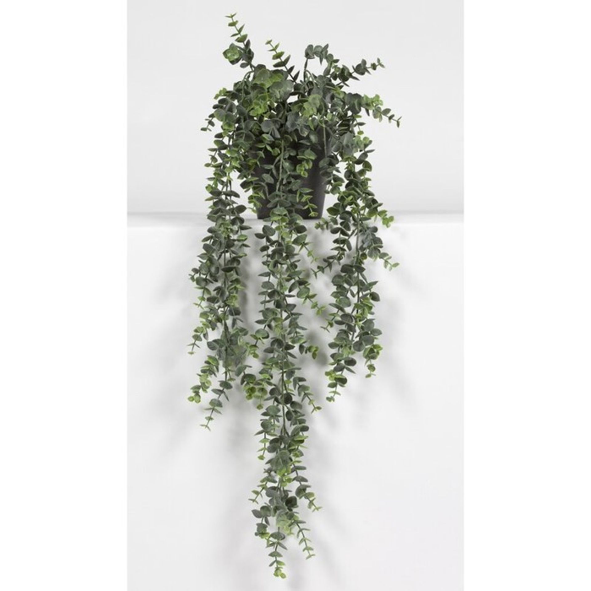 The Seasonal Aisle,Eucalyptus Hanging Plant in Pot - RRP £37.99 (WLDH3450 -18550/24) 2F