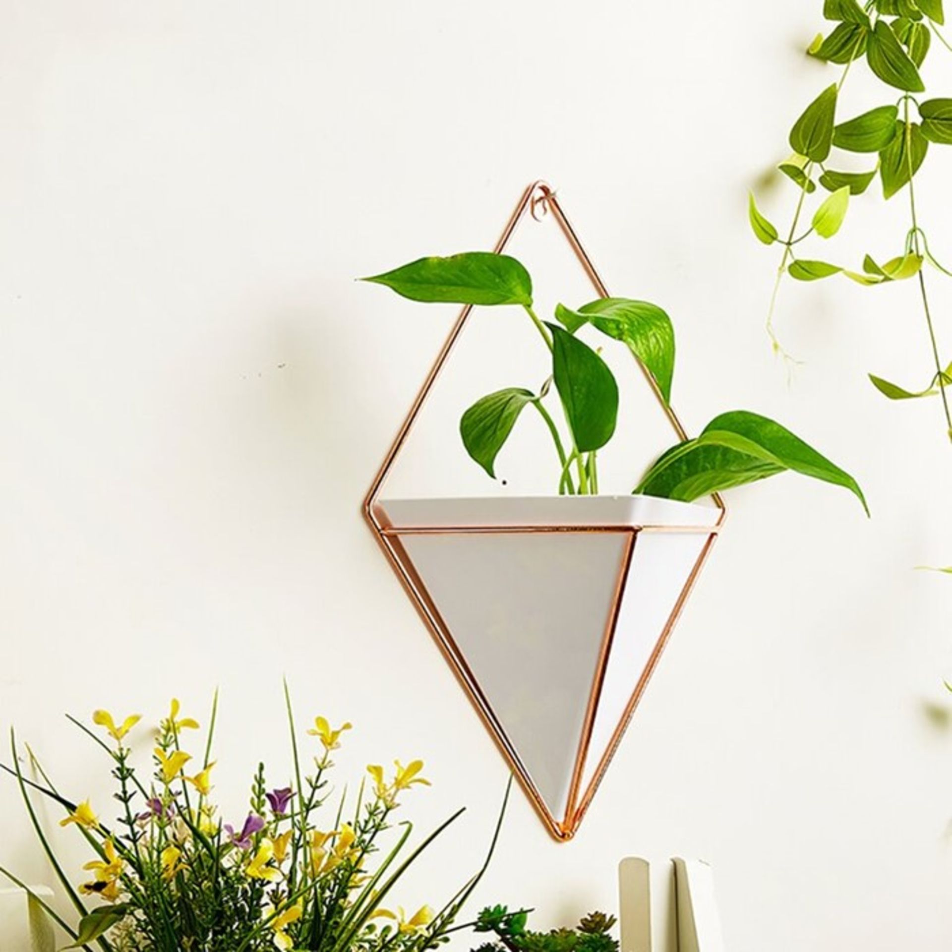 Norden Home, Jasmine Metal Wall Planter (BLACK)(38X23.5X23.5CM) - RRP £21.99 (HGKS1514 - 16642/21)