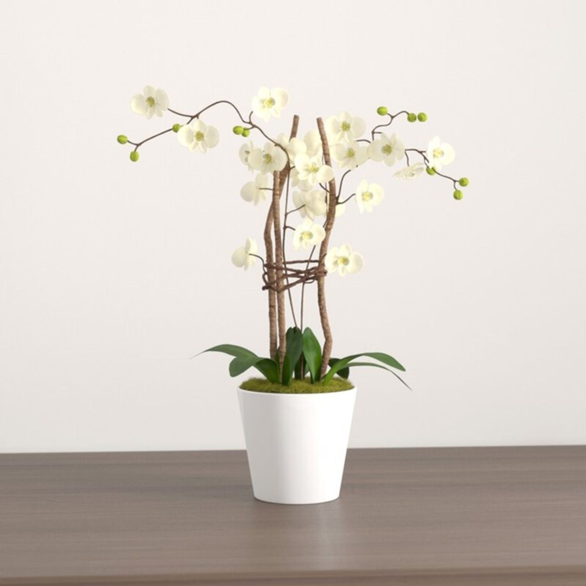 Brambly Cottage, Orchid Planter - RRP £28.99 (U000892314 - 16852/13) 4K