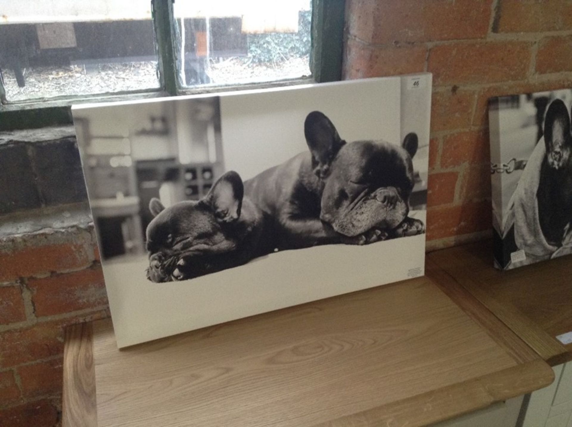 Big Box Art,'Two Black French Bulldogs Dog' Framed Photographic Print RRP -£44.99 (JKT39409 -15055/