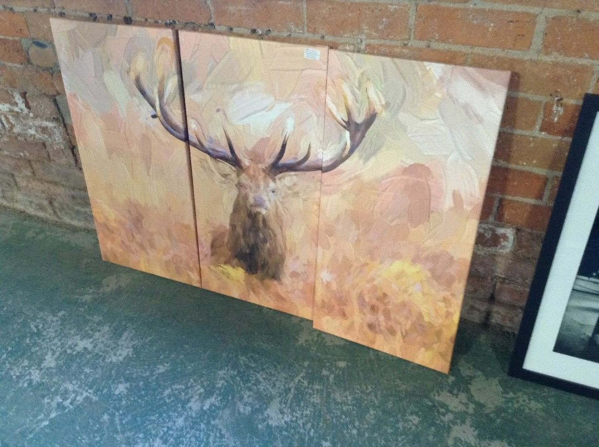 Home Loft Concept,Large Stag in Forest 3 Piece Graphic Art Print Set on Canvas RRP £64.99(10043/61