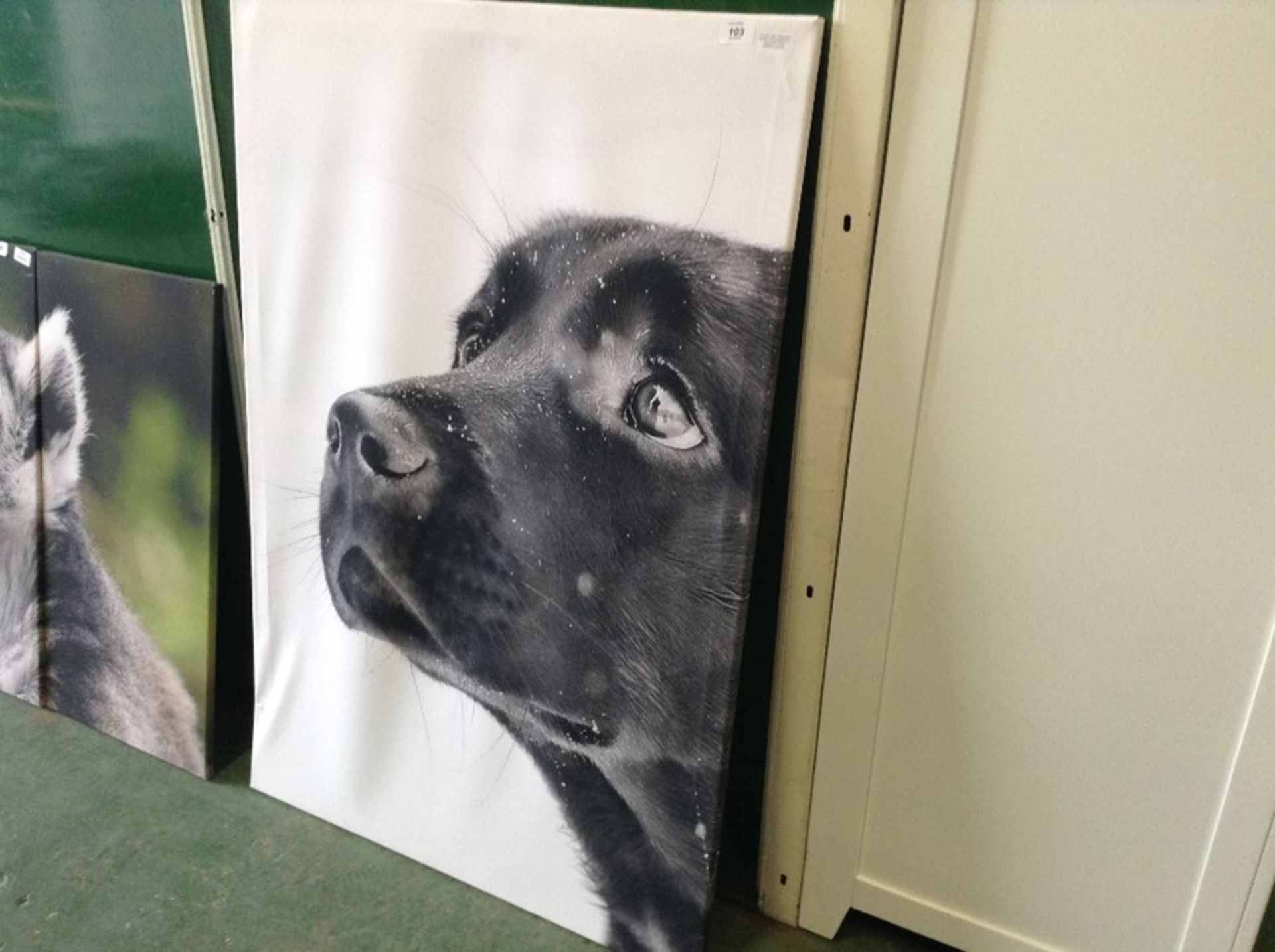 Home Loft Concept,Black Labrador in Snow Wall Art