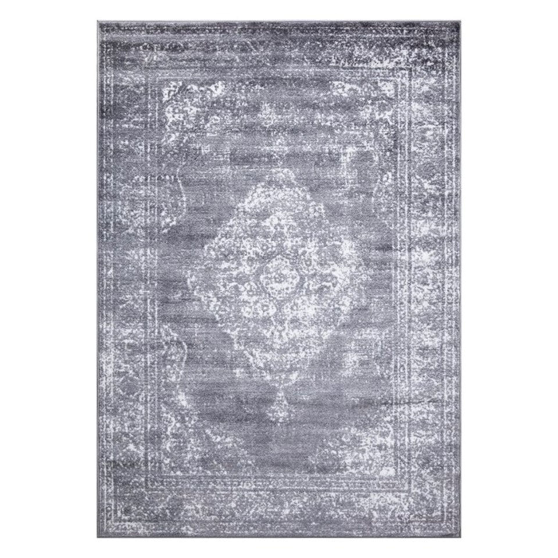 Williston Forge,Alexia Grey/Silver Rug - RRP £31.99 (120x170cm) (WLFG1975 -17633/22)