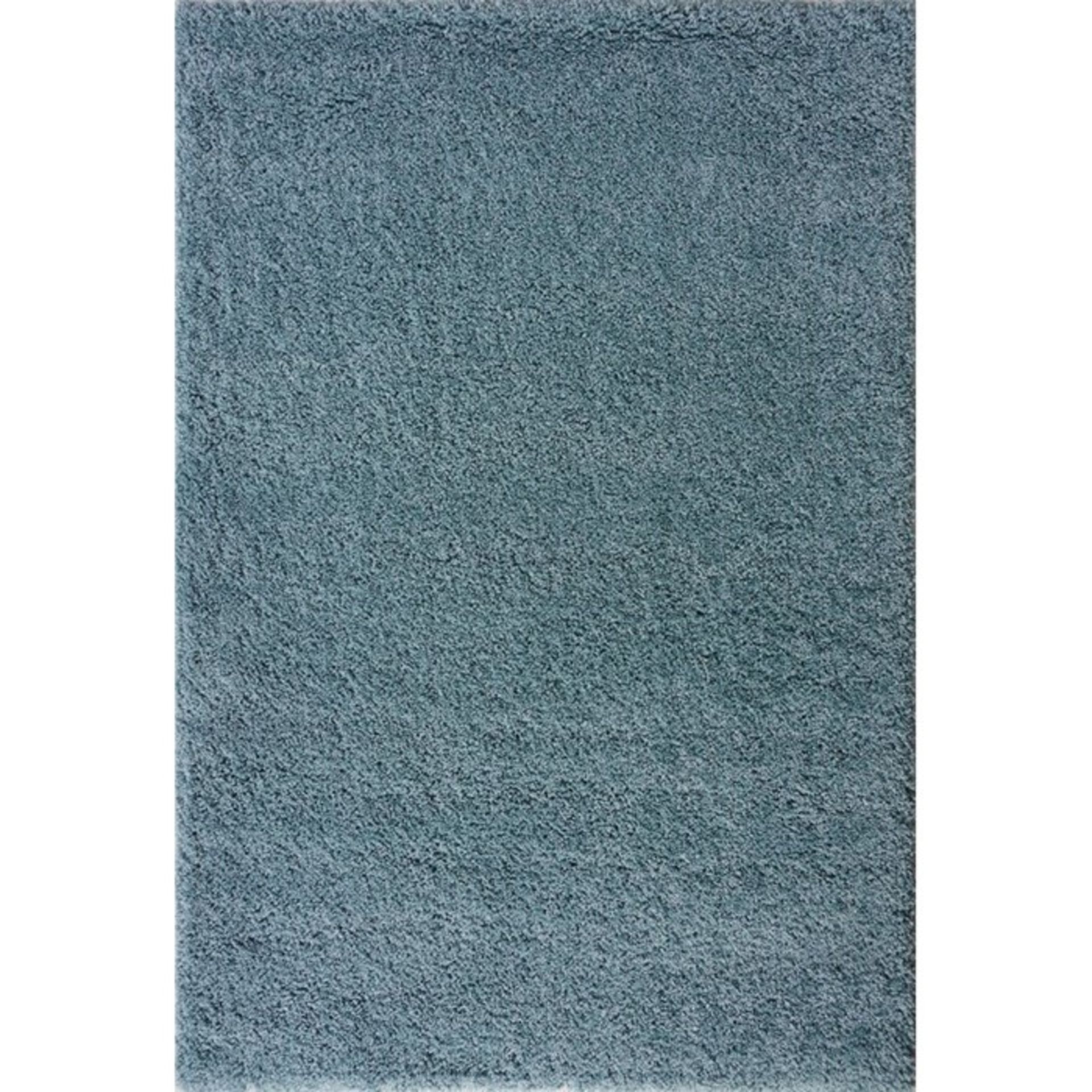 17 Stories,Chanice Shaggy Duck Egg Blue Rug RRP -£47.99 (120x170 CM ) (19402/4 -CCOO6800)