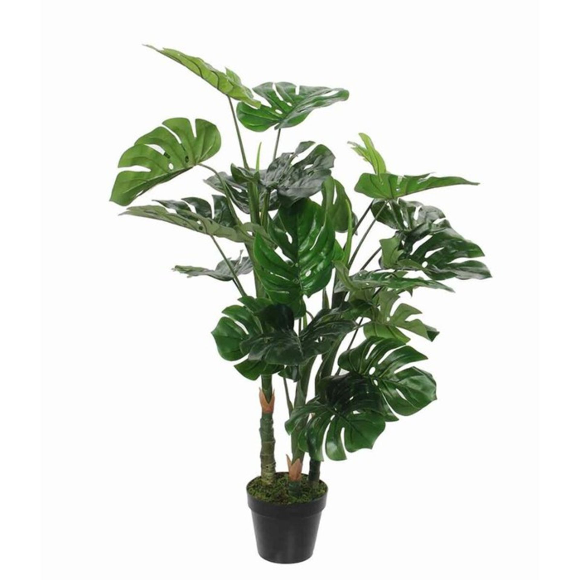 The Seasonal Aisle, Floor Monstera Tree in Pot - RRP £97.99 (MCRT1248 - 20341/19) 4C