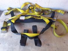 Safety Harness, Lot Requires Testing Before Use, Collection Strictly Tuesday 3 March 8:30 - 5:30