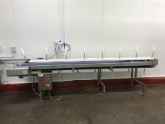 2014 Intertech Poultry Portioning & Deboning Line Complete With 12 Heads, 400 Volts, Serial