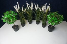 6no. Various Immitation Plants