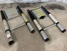 2no. Telescopic Ladders