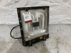 Thursman 110V Site Light