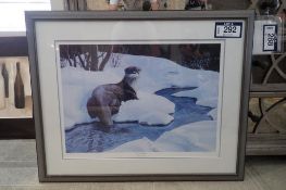 Ducks Unlimited Framed 34"x28" Along the Side Eddy Picture.