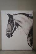 CVC Champagne Stallion 40"x50" Canvas Picture.