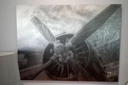 CVC 36"x48" Flying Free Etched Picture.