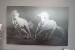 CVC 48"x30" White Horse Etched Picture.