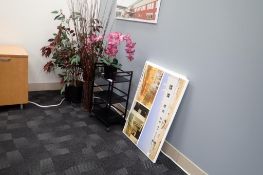 Lot of Mobile Cart, 5 Canvas Prints and Asst. Artificial Plants.