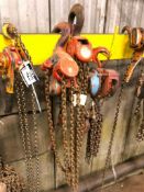 CM 6-Ton Chain Hoist