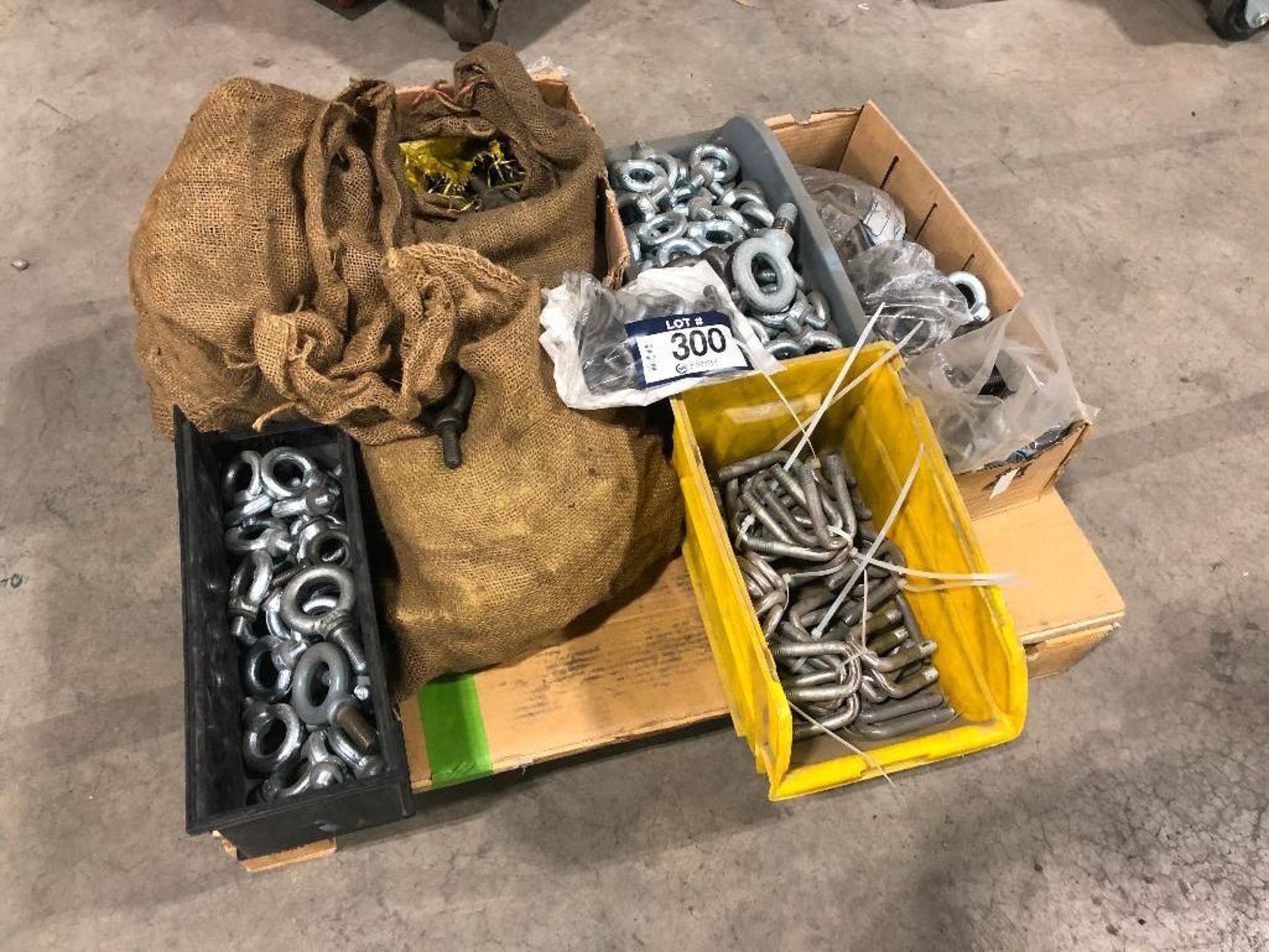 Lot of Asst. U-Bolts, Eye Hooks, etc.