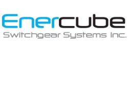 Enercube Switch Gear Systems Unreserved Bankruptcy Online Auction