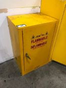 Zenith Flammable Storage Cabinet