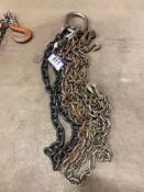 3/4in, 5ft. 3in. 1-Leg Lifting Chains