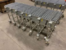 Nestaflex 376 Expandable Mobile Conveyer