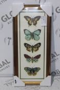 Butterfly Frame Wall Prints RRP £70 Each (4083477) (Public Viewing and Appraisals Available)