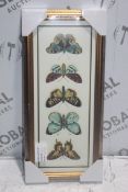 Vintage Butterfly One and Two Framed Wall Art Pictures RRP £70 Each (4083477)(4083478) (Public