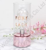 Lot to Contain 6 Brand New By Appointment Foxy Lady LED Tube Night Lights Combined RRP £96 (46597)