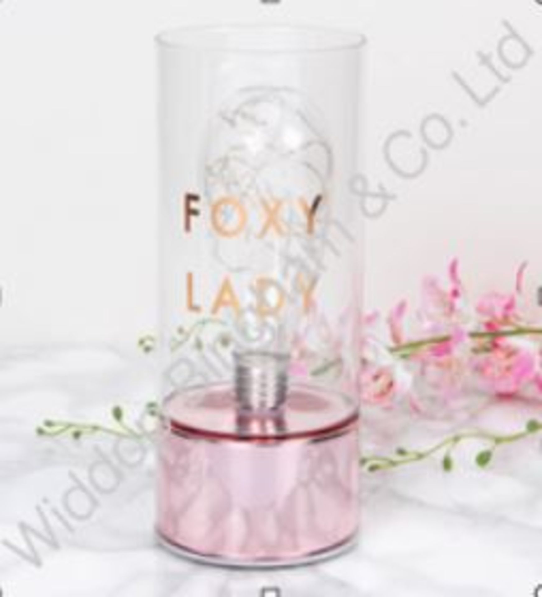 Lot to Contain 6 Brand New By Appointment Foxy Lady LED Tube Night Lights Combined RRP £96 (46597)