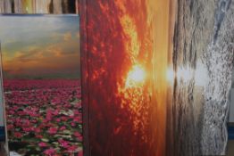 Assorted Canvas Wall Art Pictures to Include The Sunset Beach, Sunset River and The Big Blast RRP £