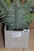 Boxed Peony Wild Fern In Cermaent Cube Artificial Potted Plant RRP £75 (47224984) (Public Viewing