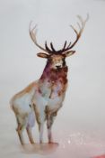 Big Buck Gaze by Michelle Dujardin Framed Wall Art Picture RRP £165 (18098) (Appraisals Available