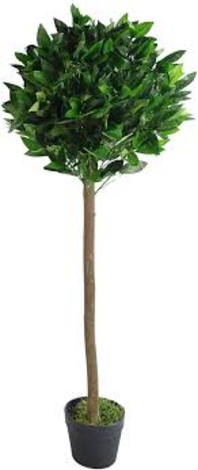 Boxed Topiary Twist Bowl Tree RRP £105 (18289) (Appraisals Available Upon Request)