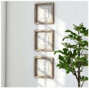 Boxed Botanical Mono Chrome Frame Set Of 3 Wall Art Pictures RRP £50 (18953) (Pictures Are For