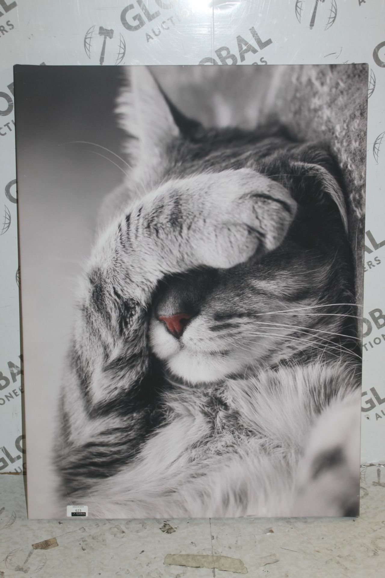 Peeping On The Heath Daisy Doo Canvas Wall Art Picture RRP £50 (Appraisals Available Upon Request)(