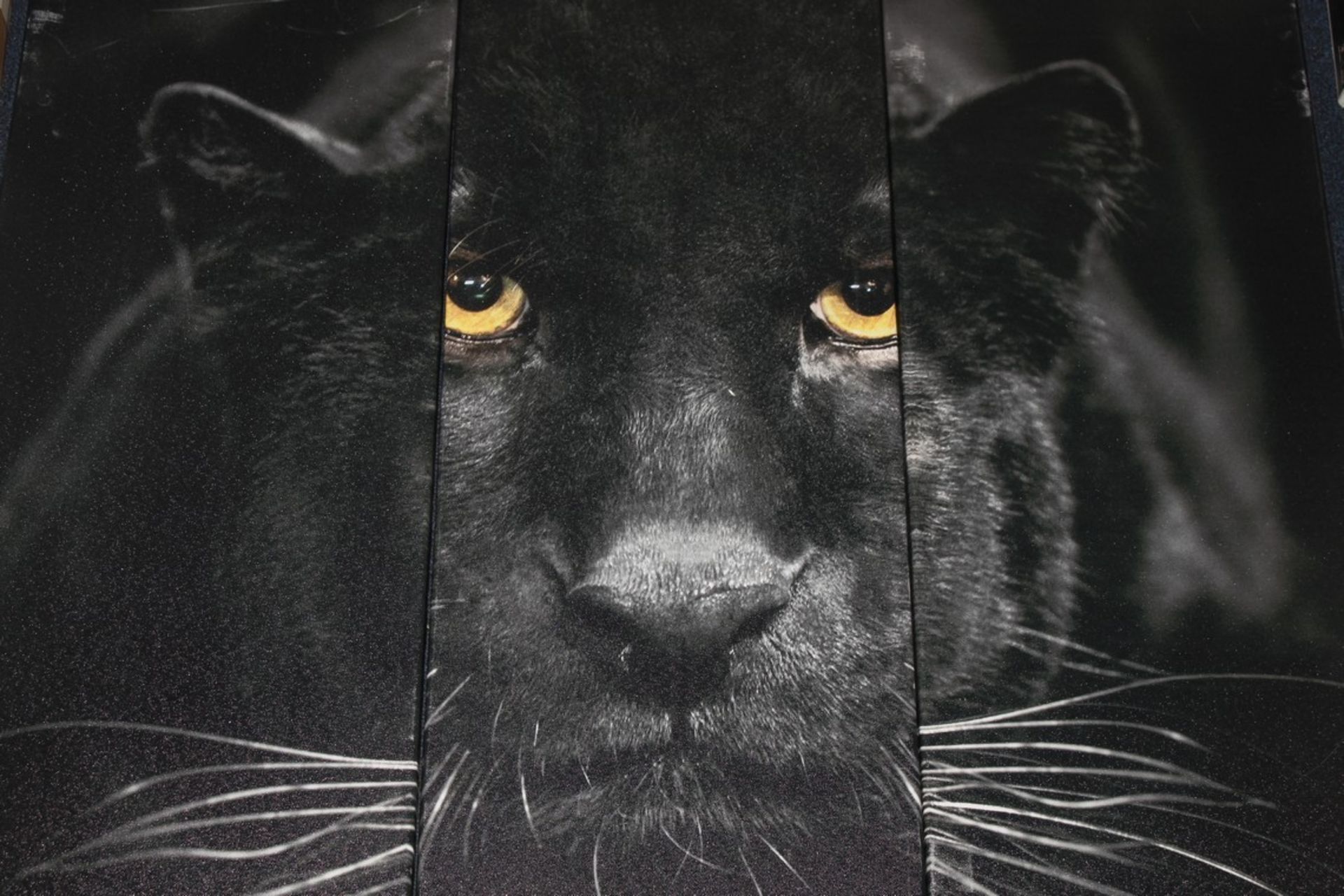 Black Panther 5 Piece Wall Art Panel RRP £60 (19028) (Pictures Are For Illustration Purposes Only)(