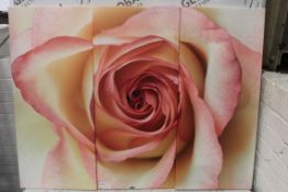 Pink Rose Multi Print Canvas Wall Art Picture RRP