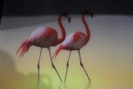 Flamingo Love Canvas Wall Art Picture RRP £100
