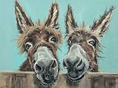 Double Trouble by Louise Brown Canvas Wall Art Pictures RRP £40