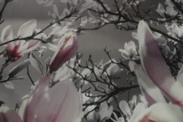 Beautiful Magnolia Blossom Canvas Wall Art Picture
