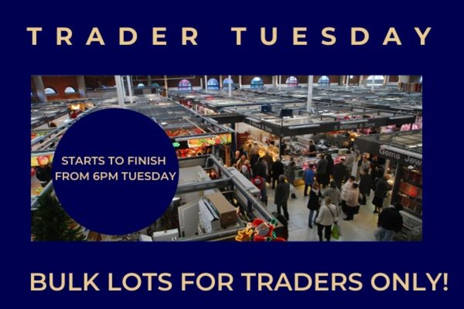 Trader Tuesday - Bulk Lots For Traders Only