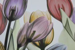 The Coloured Tulip Canvas Wall Art Picture RRP £50 (14953) (Pictures Are For Illustration Purposes