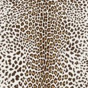 Lot To Contain 3 Brand New Rolls Of Graham Brown Leopard Print Wallpaper Combined RRP £150 (