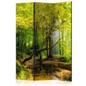 Massive Room Divider RRP £115 (Pictures Are For Illustration Purposes Only) (Appraisals Are