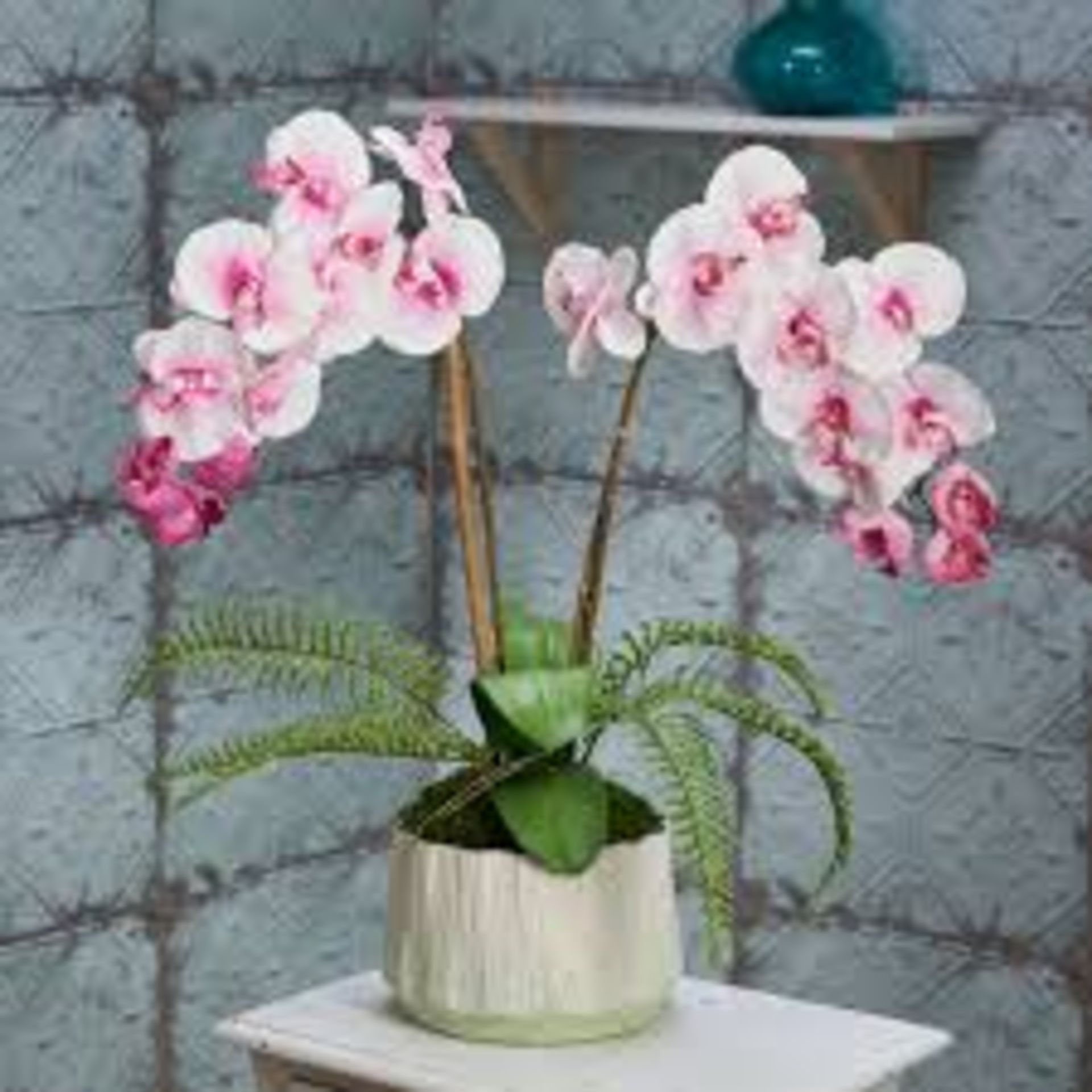 Boxed Peony Artificial Orchid Potted Plant RRP £200 (841325) (Pictures Are For Illustration Purposes