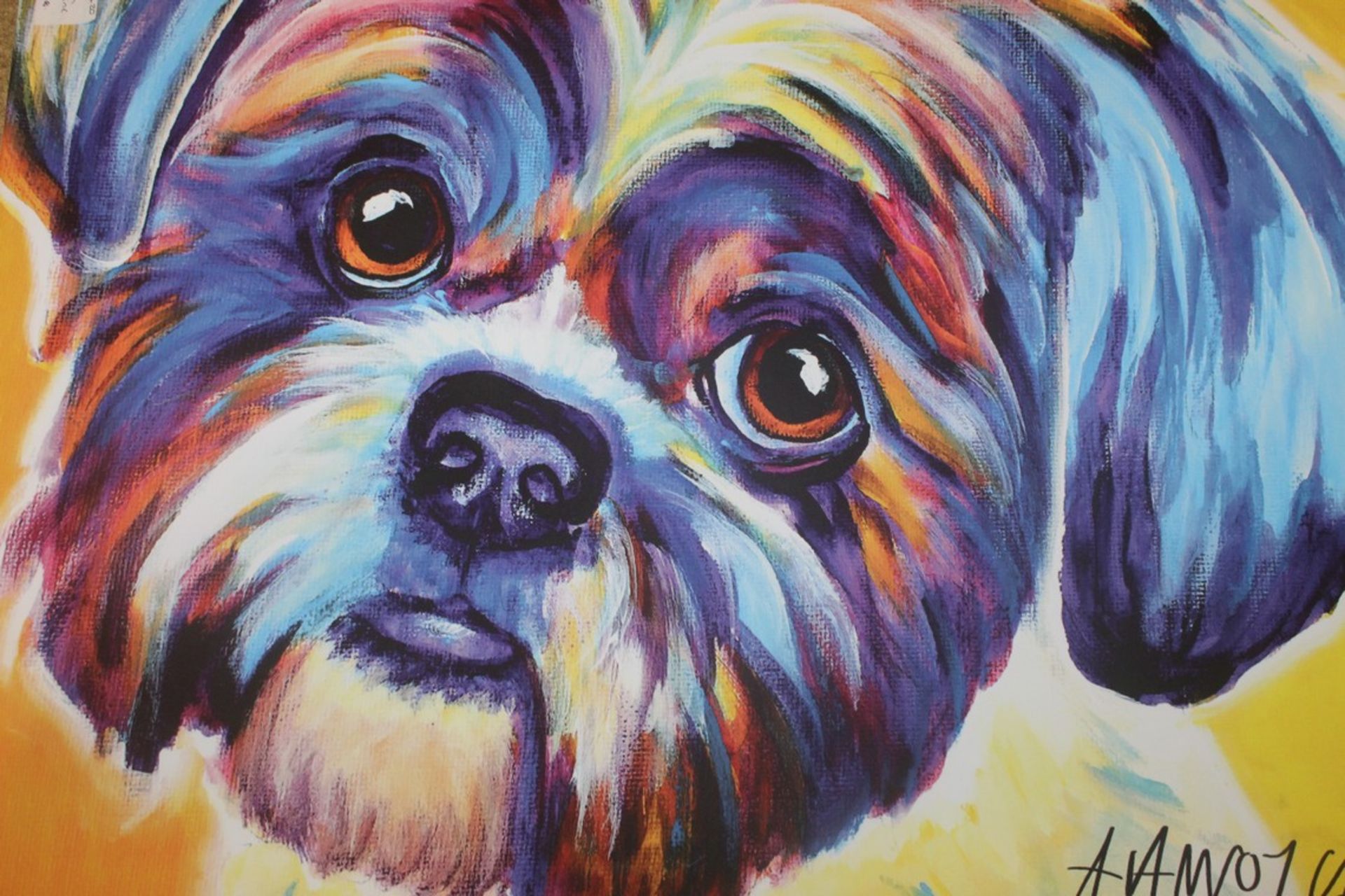 Lacey The Shihtzu Colourful Canvas Wall Art Print RRP £60 (18285) (Appraisals Are Available Upon