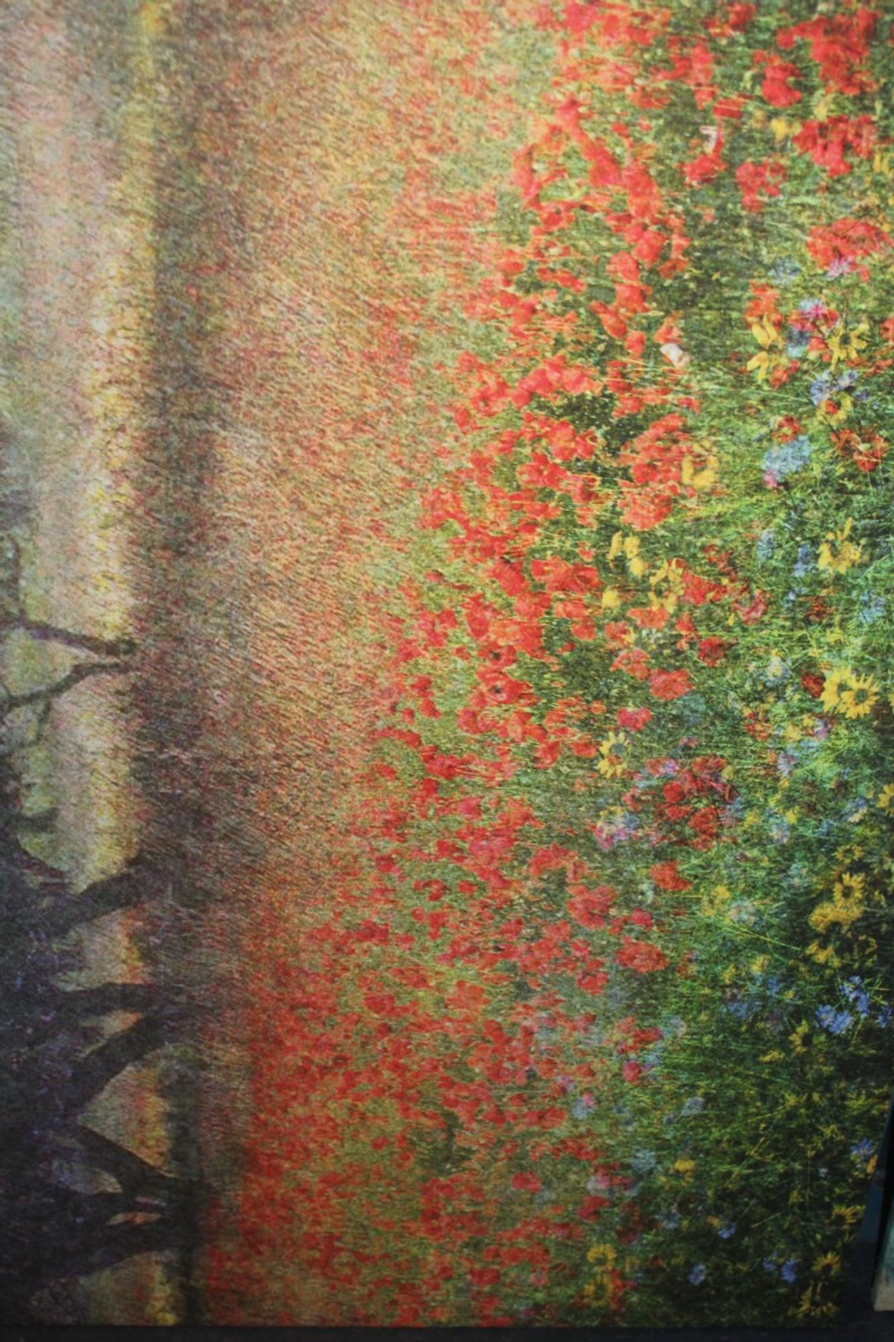 Red Poppy Field By Artist R Christopher Zest Canvas Wall Art Picture RRP £120 (14571) (Pictures